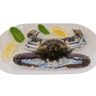 Male Blue Swimmer 350-400g